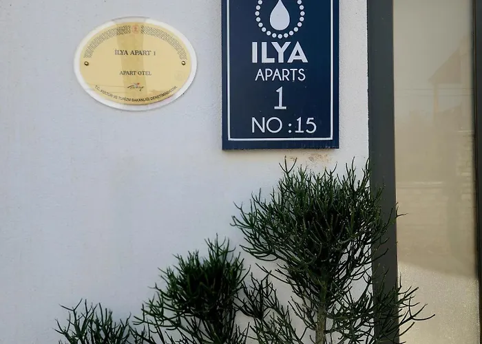 Ilya 1