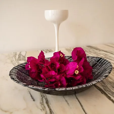 Ilya 1 شقة فندقية