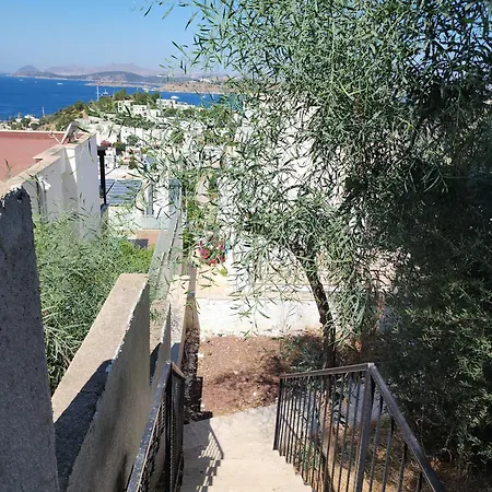 Aparthotel Ilya 1 4*