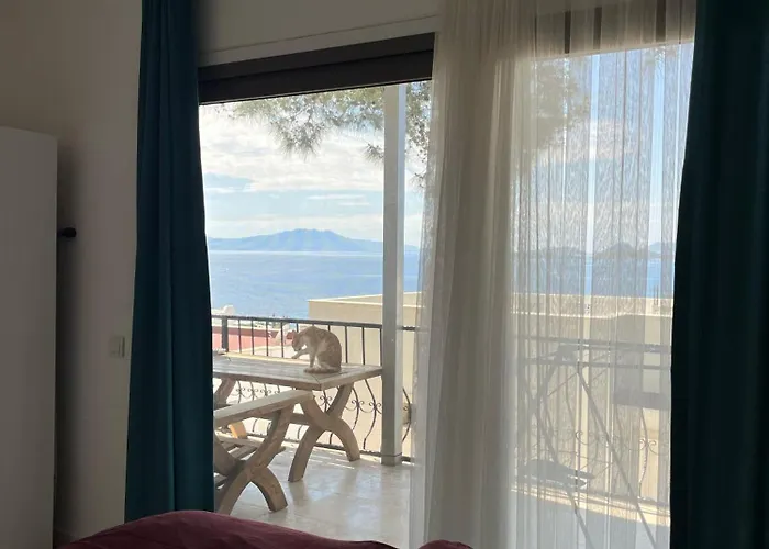 Lejlighedshotel Ilya 1
